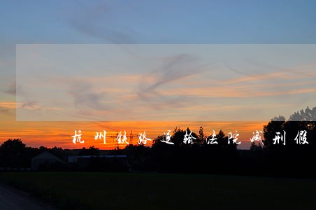 杭州铁路运输法院减刑假释裁定书 杭州铁路运输法院减刑假释裁定书