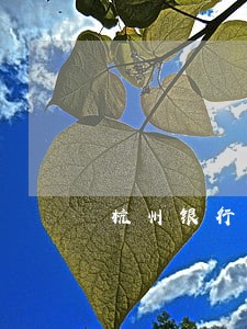 杭州银行信用卡逾期1天还款