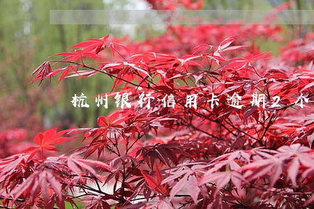 杭州银行信用卡逾期2个月