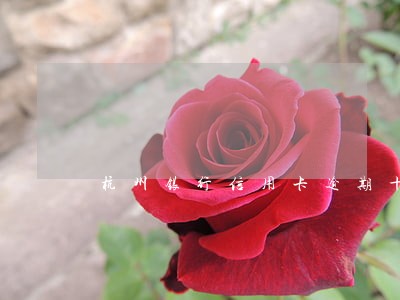 杭州银行信用卡逾期十天