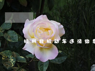 杭州非机动车违法缴费