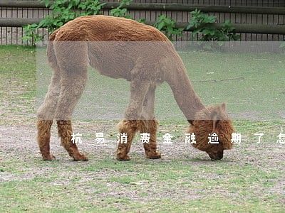 杭易消费金融逾期了怎样解决 杭易消费金融逾期了怎样解决
