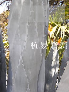 杭易消费金融逾期多久上班 杭易消费金融逾期多久上班