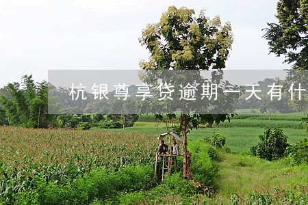 杭银尊享贷逾期一天有什么后果 杭银尊享贷逾期一天有什么后果