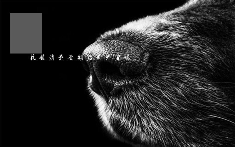 杭银消费逾期后果严重吗 杭银消费逾期后果严重吗
