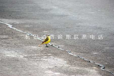 杭银消费逾期联系电话 杭银消费逾期联系电话