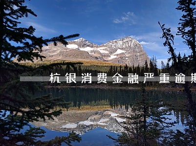 杭银消费金融严重逾期 杭银消费金融严重逾期