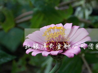 杭银消费金融公司借款逾期 杭银消费金融公司借款逾期