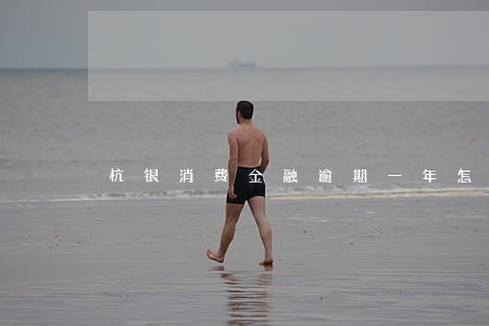 杭银消费金融逾期一年怎么办 杭银消费金融逾期一年怎么办