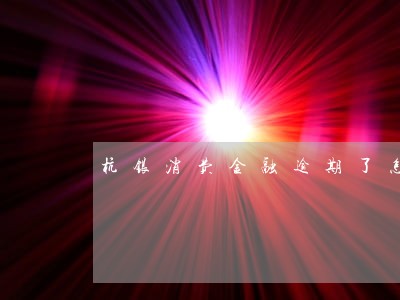 杭银消费金融逾期了怎么还款