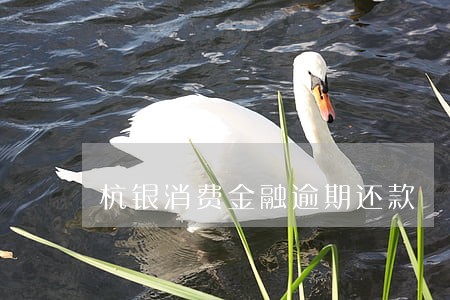 杭银消费金融逾期还款 杭银消费金融逾期还款