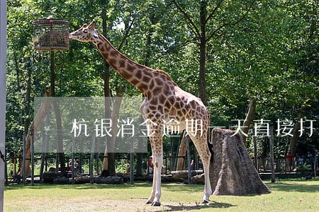 杭银消金逾期一天直接打联系人 杭银消金逾期一天直接打联系人