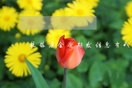 杭银消金逾期发信息有我姓名 杭银消金逾期发信息有我姓名