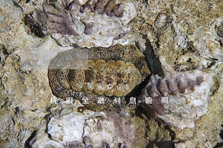 杭银金融利息逾期 杭银金融利息逾期