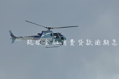 杭银金融消费贷款逾期怎么办 杭银金融消费贷款逾期怎么办
