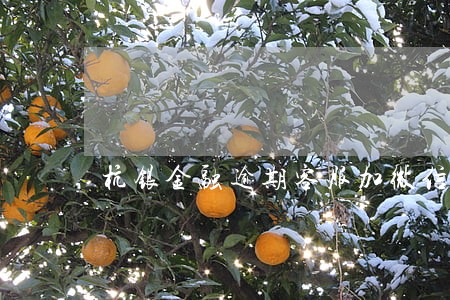杭银金融逾期客服加微信 杭银金融逾期客服加微信