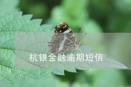 杭银金融逾期短信 杭银金融逾期短信