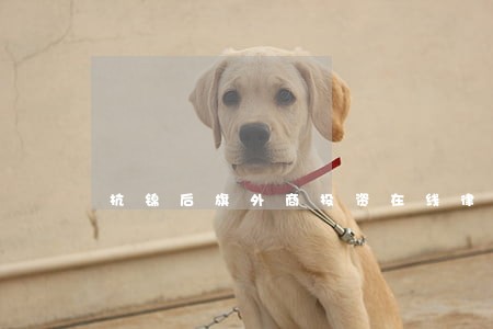 杭锦后旗外商投资在线律师咨询 杭锦后旗外商投资在线律师咨询
