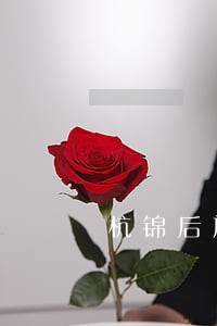 杭锦后旗法律援助电话 杭锦后旗法律援助电话