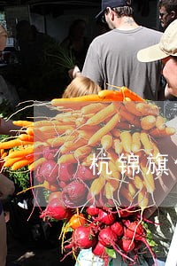杭锦旗债务律师哪个好 杭锦旗债务律师哪个好