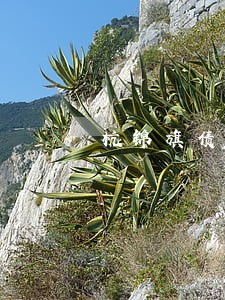 杭锦旗债务执行律师怎么委托 杭锦旗债务执行律师怎么委托