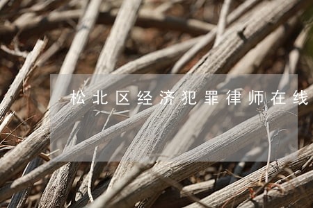 松北区经济犯罪律师在线免费咨询 松北区经济犯罪律师在线免费咨询