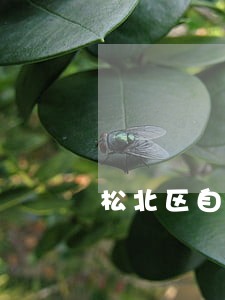松北区自然资源在线律师 松北区自然资源在线律师
