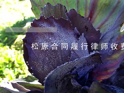 松原合同履行律师收费 松原合同履行律师收费