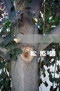 松原周边债务纠纷律师免费咨询 松原周边债务纠纷律师免费咨询