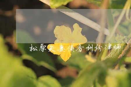 松原夫妻债务纠纷律师 松原夫妻债务纠纷律师