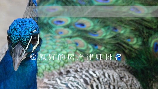 松原好的房产律师排名 松原好的房产律师排名