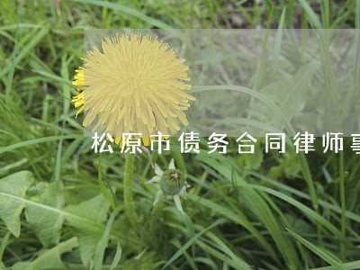 松原市债务合同律师事务所 松原市债务合同律师事务所