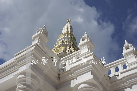 松原市法院唐凤佳 松原市法院唐凤佳