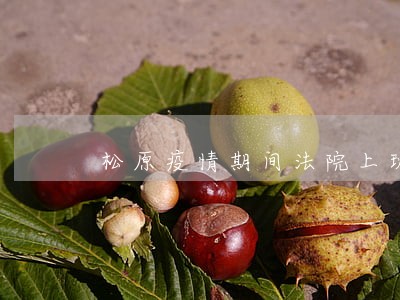 松原疫情期间法院上班吗 松原疫情期间法院上班吗