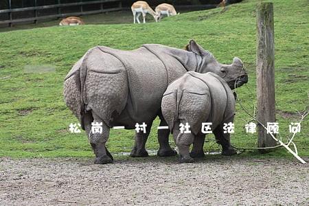 松岗一村一社区法律顾问