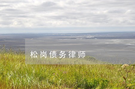 松岗债务律师