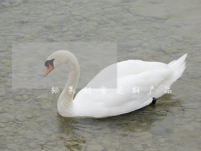 松果财富逾期产品 松果财富逾期产品
