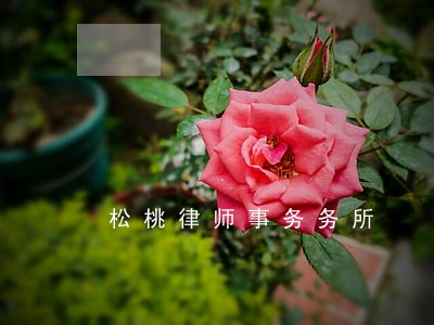 松桃律师事务务所 松桃律师事务务所