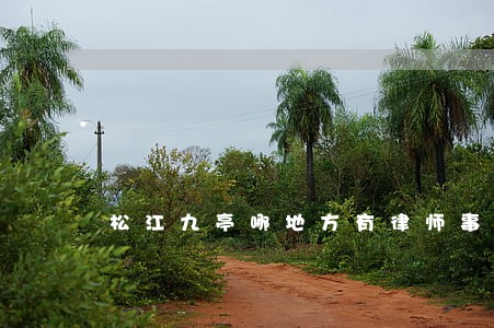 松江九亭哪地方有律师事务所 松江九亭哪地方有律师事务所