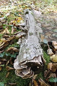 松江债务合同律师 松江债务合同律师