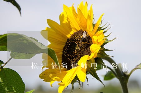 松江债务律师电话咨询