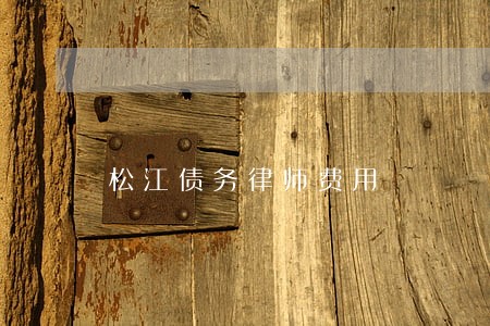 松江债务律师费用 松江债务律师费用