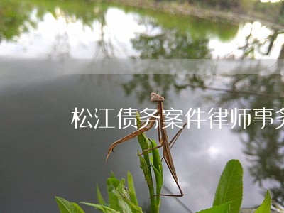 松江债务案件律师事务所 松江债务案件律师事务所
