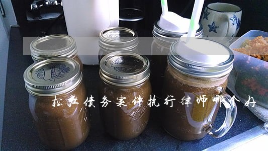 松江债务案件执行律师哪个好 松江债务案件执行律师哪个好