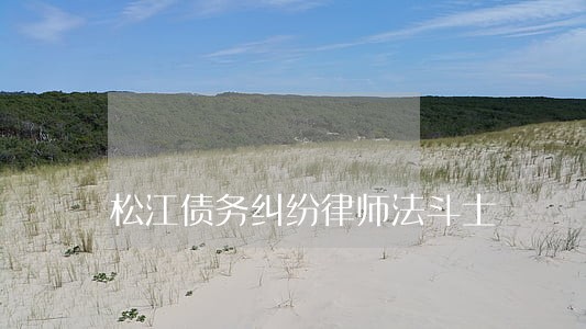 松江债务纠纷律师法斗士 松江债务纠纷律师法斗士