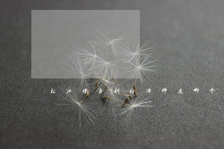 松江债务纠纷律师选哪个 松江债务纠纷律师选哪个