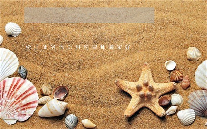 松江债务诉讼纠纷律师哪家好