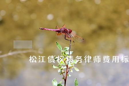 松江债权债务律师费用标准 松江债权债务律师费用标准