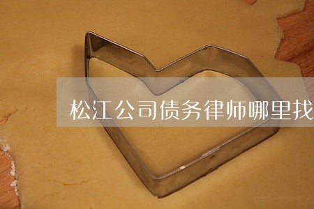 松江公司债务律师哪里找 松江公司债务律师哪里找