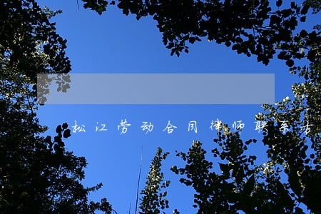 松江劳动合同律师联系方式 松江劳动合同律师联系方式